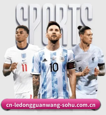 本站五个常用功能入口,赛程查询路径更短 - 多运动项目内容板块（LD SPORTS）